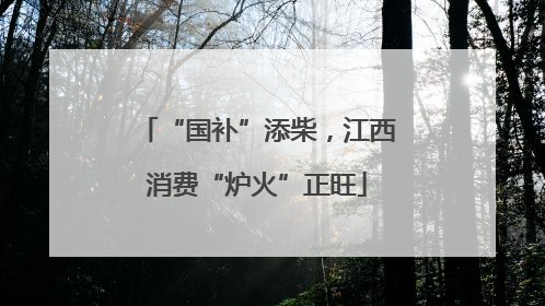 “国补”添柴，江西消费“炉火”正旺